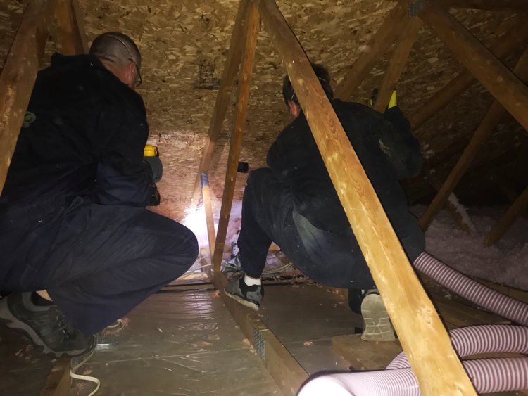 Attic Deep Cleaning in Los Angeles, CA